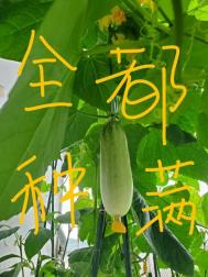 大侠立志传囚龙之地任务怎么做